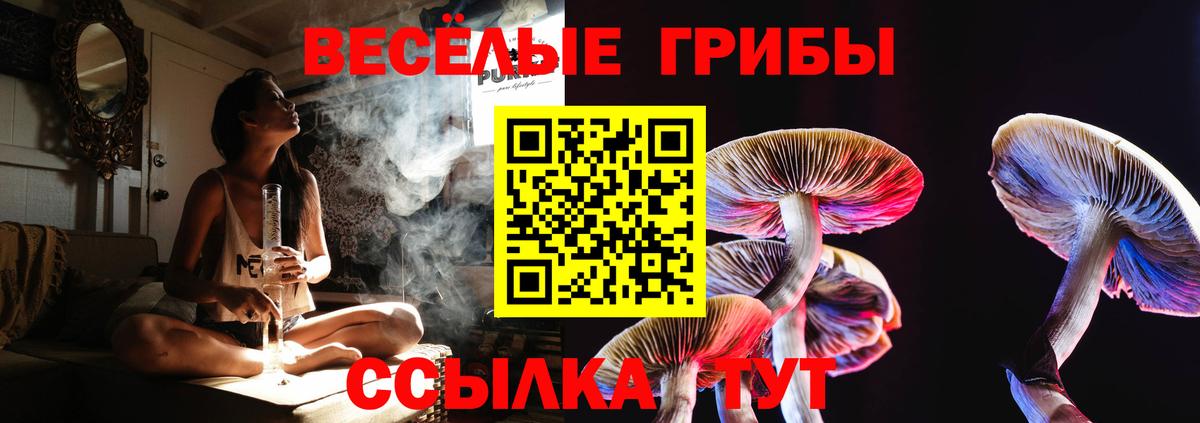 наркота  Галлюциногенные грибы мухоморы  Вход с VPN  Красный Сулин 